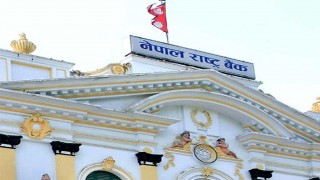 बैंकमा आईपीओ भर्नेको भीड, राष्ट्र बैंकले भन्यो-व्यवस्थापन गर्नू