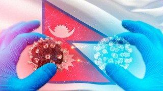 पछिल्लो २४ घण्टामा ९७९ जनामा कोरोना भाइरस संक्रमण पुष्टि, कहाँ कति थपिए संक्रमित ?