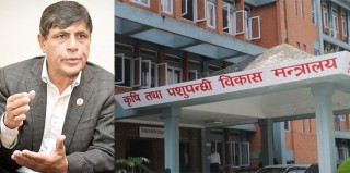 घनश्याम भुसाल मन्त्रालयबाट बाहिरिएपछि मल नल्याउने ठेकदारलाई कारबाही नगर्ने निर्णय