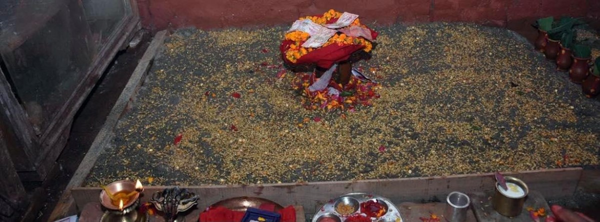 हनुमानढोकाको दशैं घरमा राखियो  जमरा, आज देखि दशैं सुरु