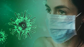 ब्राजिलमा चमेरोमा कोरोनाभाइरसको नयाँ भेरियन्ट फेला