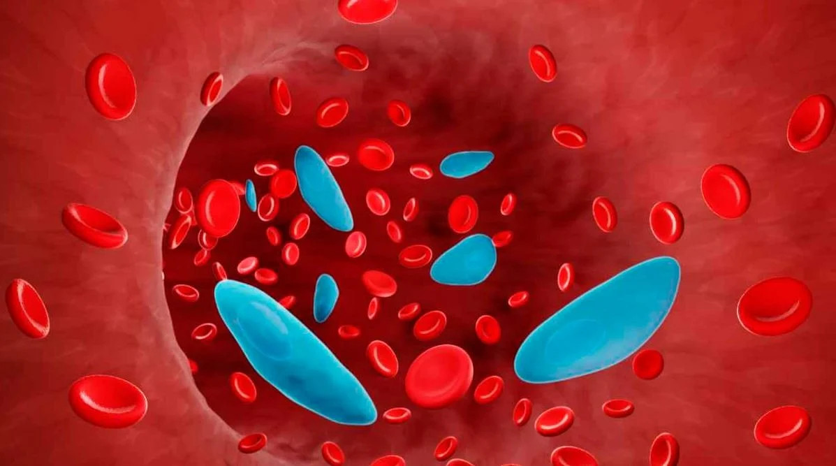 blood-cells1_bgME1PTviL.webp