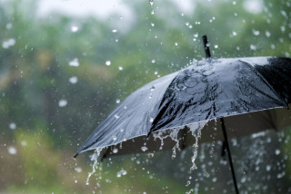 भारतमा भारी वर्षा, विद्यालय बन्द