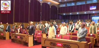 राष्ट्रिय सभा बैठक