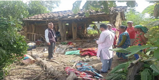 कञ्चनपुरमा जंगली हात्तीको बथानले तीन घर भत्कायो
