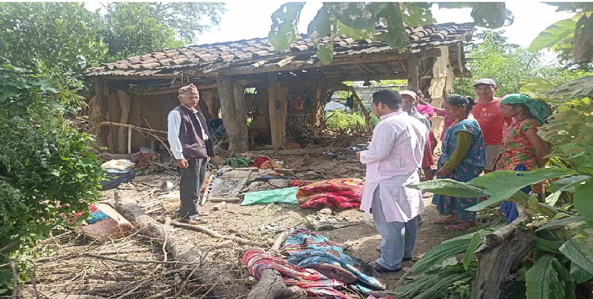कञ्चनपुरमा जंगली हात्तीको बथानले तीन घर भत्कायो