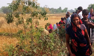 धनुषामा महिलाको शव भेटियो