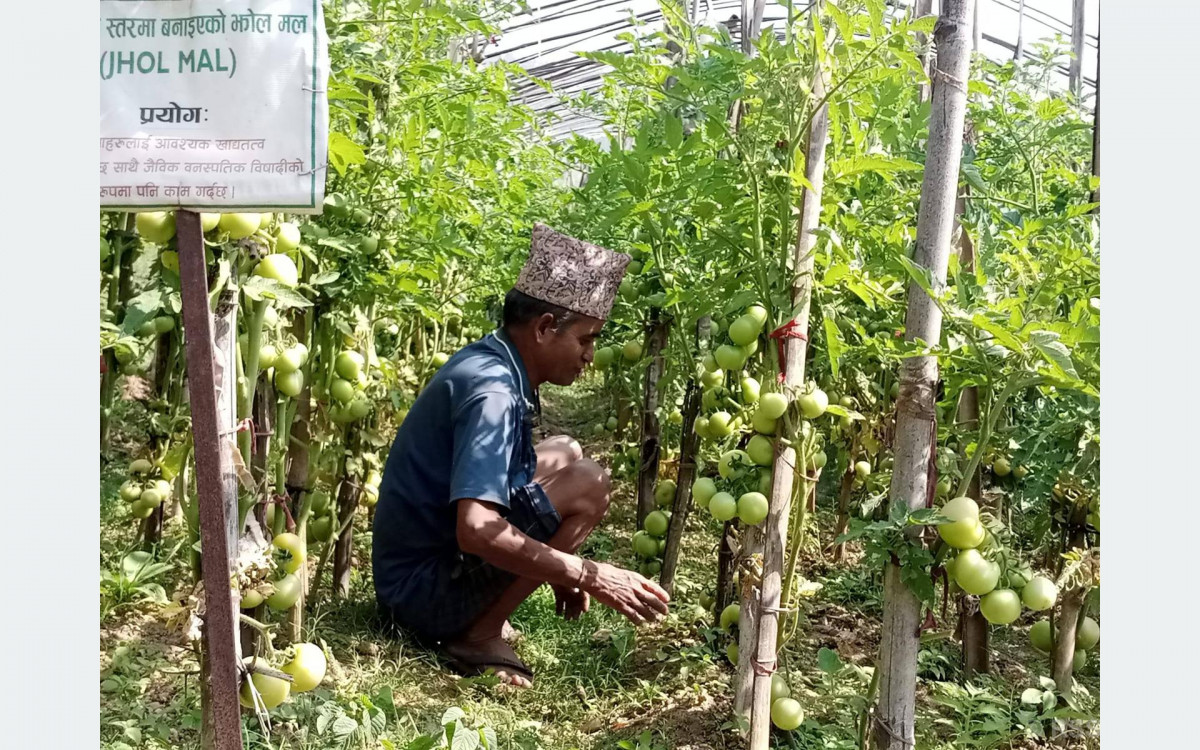 गाउँकै अगुवा किसान, गाउँले एफएम दाइ
