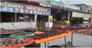विदेश छाडेर सुकुटी ब्यापार, मासिक दुई लाख आर्जन