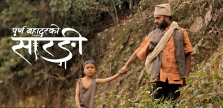 'पूर्णबहादुरको सारङ्गी' को २४  दिनको कमाई कति  ?