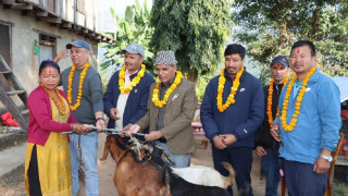 महिला किसान समूहसँग लिबर्डको ‘बाख्रा उपहार कार्यक्रम’
