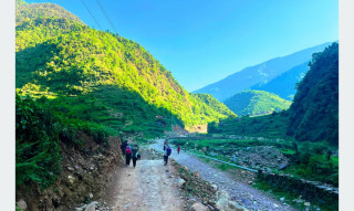 ढोरपाटन सिकार आरक्ष पुग्ने सडक स्तरोन्नति हुँदै