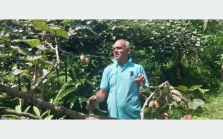 किसानलाई किबीभन्दा अलैँचीबाट अधिक फाइदा