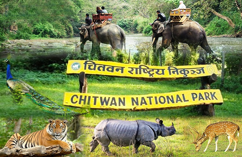 वर्षे सुरक्षामा जुट्यो चितवन राष्ट्रिय निकुञ्ज