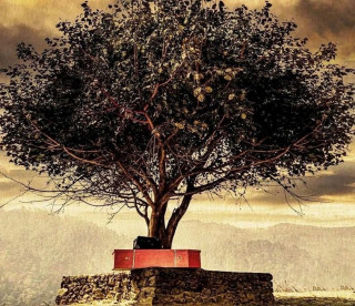 ‘छक्कापञ्जा ४’, ‘चिसो मान्छे’ सहित पाँच नेपाली फिल्म एकसाथ ओटीटीमा