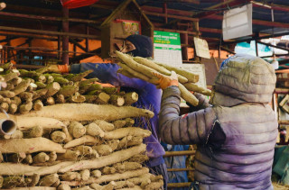 माघे संक्रान्ति नजिकिएसँगै बजारमा तरुलकाे व्यापार बढ्याे