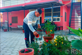 वडाध्यक्षको पहलमा कार्यालय परिसरमा फूलबारी