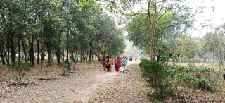 पर्यटकीय आकर्षणको केन्द्र बन्दै हेटौँडाको वृन्दावन वनस्पति उद्यान