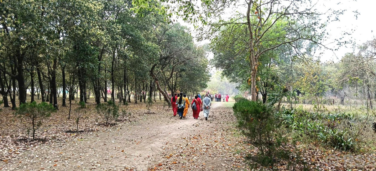 पर्यटकीय आकर्षणको केन्द्र बन्दै हेटौँडाको वृन्दावन वनस्पति उद्यान