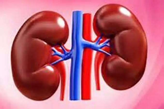 सुदूरपश्चिममा सहज छैन मिर्गाैला रोगीलाई ‘डायलासिस’ सेवा