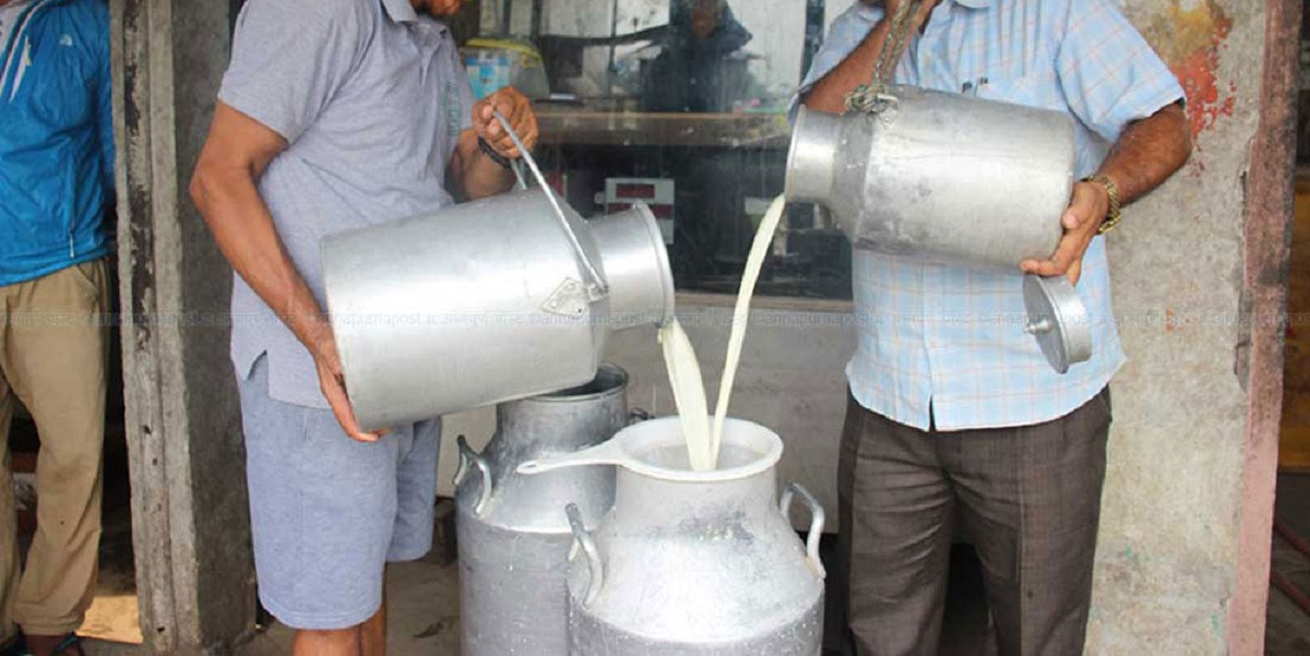 धेरै दूध बिक्री गर्ने १५ जना किसान पुरस्कृत
