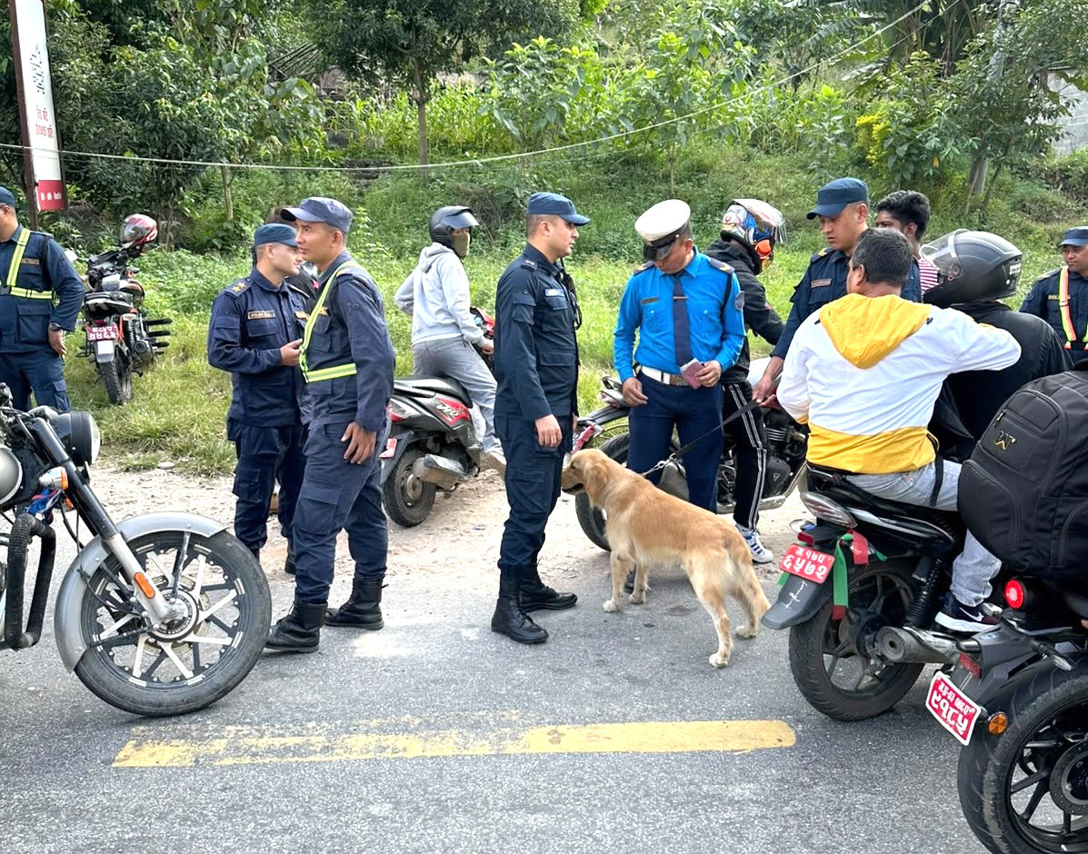 KN_Damauli-9012c894-d484-4645-b03c-17e82a9b6e43.jpg