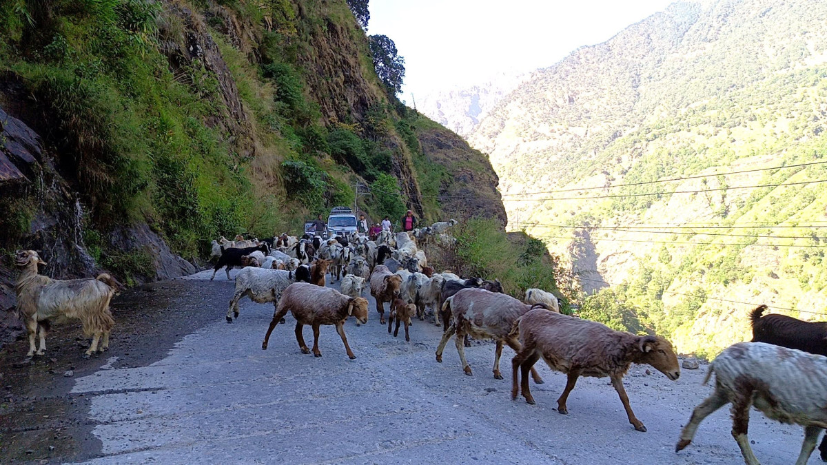 NL_Manang15605.jpg